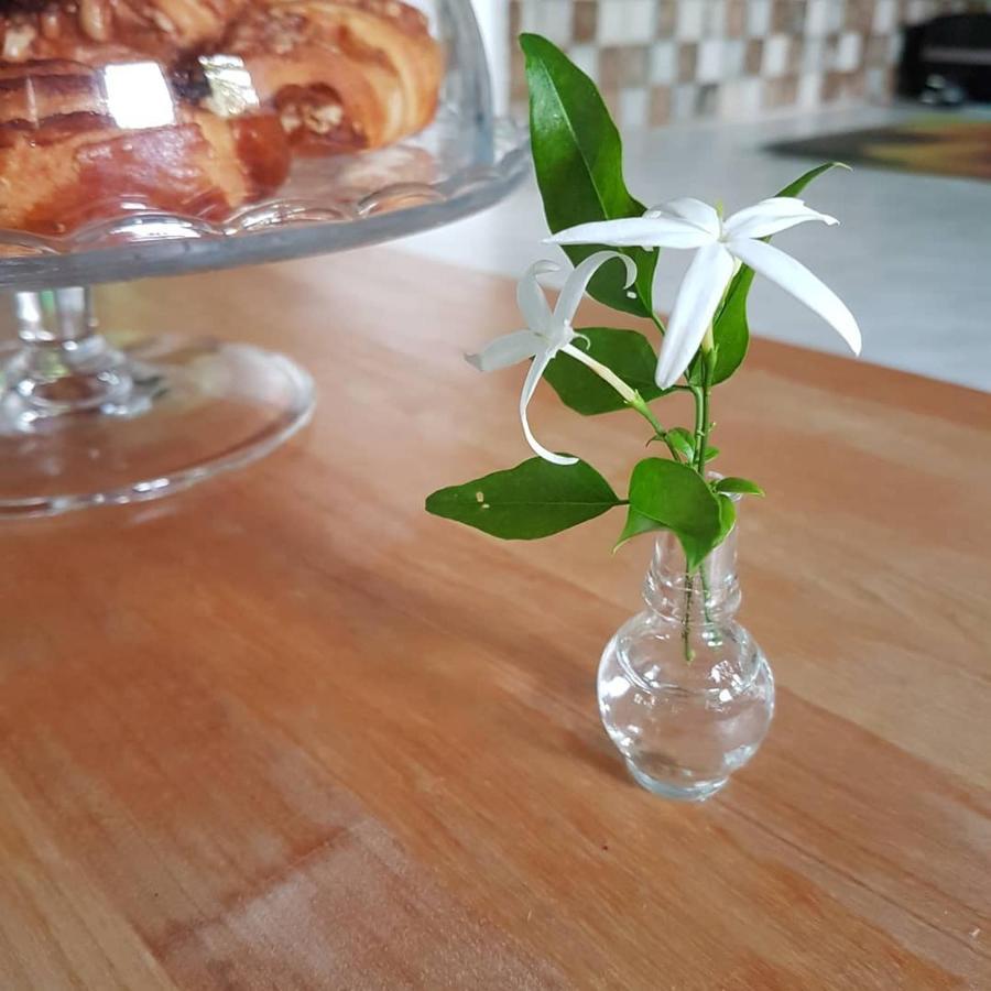 프레베자 The Jasmine House 빌라 외부 사진